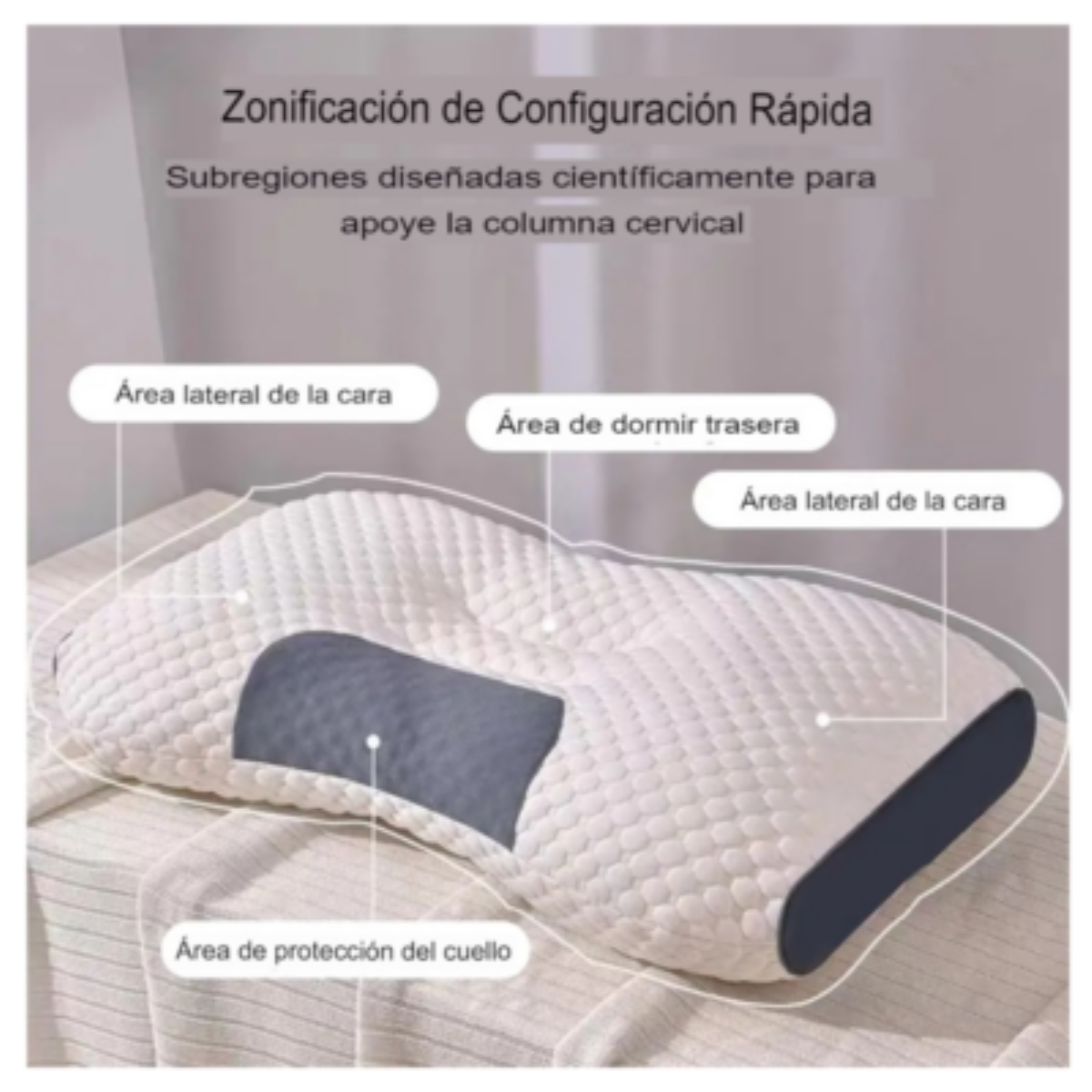 PACK 2 ALMOHADAS